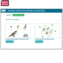 Hagemann Lebenszyklusmodell Dinosaurier (Modelle, 4-tlg.)