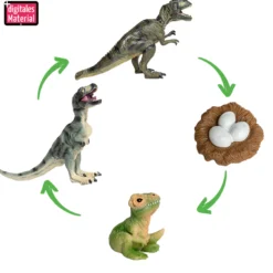 Hagemann Lebenszyklusmodell Dinosaurier (Modelle, 4-tlg.)