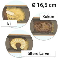 Hagemann Magnetbilder Lebenszyklus Wildbiene, 16-tlg.