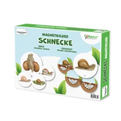 Hagemann Magnetbilder Leben und Lebenszyklus der Schnecke