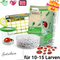 Hagemann Marienkäfer Zuchtset (mit Gutschein, 10-15 Larven)