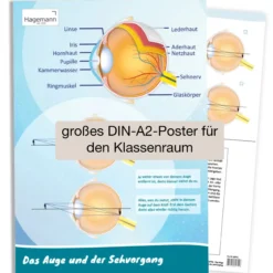 Hagemann PosterDas Auge und der Sehvorgang