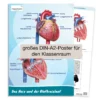 Hagemann PosterDas Herz von innen und außen