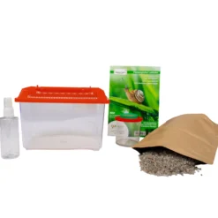 Hagemann Schnecken-Beobachtungs-Set