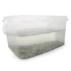 Hagemann Zuchtset Triops