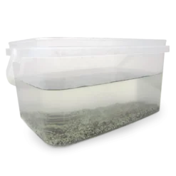 Hagemann Zuchtset Triops