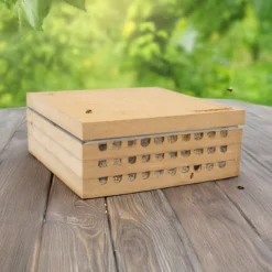Hagemann Zuchtset Wildbienen, kompakt, Rote Mauerbiene (mit 25 Kokons)