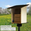 Hagemann Zuchtset Wildbienen, Rote Mauerbiene (mit Gutschein, 50 Kokons)