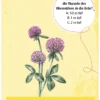50 Heimische Blumen entdecken und bestimmen