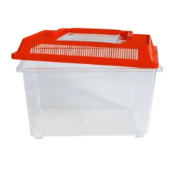 Insekten-Beobachtungsbox