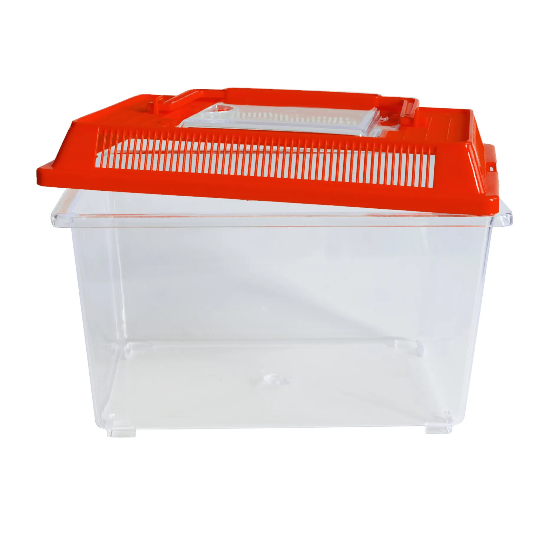 Insekten-Beobachtungsbox