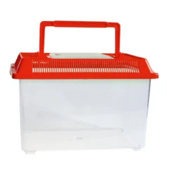 Insekten-Beobachtungsbox