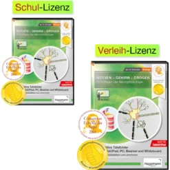 Interaktive Tafelbilder Nerven-Gehirn-Drogen (tabletfähig)