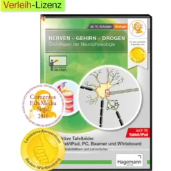 Interaktive Tafelbilder Nerven-Gehirn-Drogen (tabletfähig)