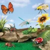 Jumbo-Insekten