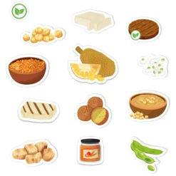Klassenset vegetarische und vegane Ernährung, magnetisch