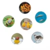 Lernspiel Tierwelten entdecken und klassifizieren