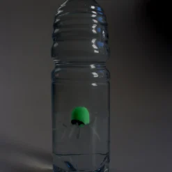 Lumineszierender Flaschentaucher