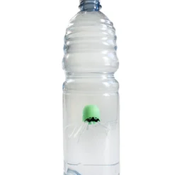 Lumineszierender Flaschentaucher
