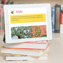 Medienheft Wildbienen und Honigbienen