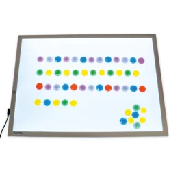 Muschel-Set, transparent und taktil, 108-tlg.