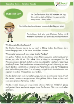 Projektset "Bedrohte Tiere an Land", 12-tlg