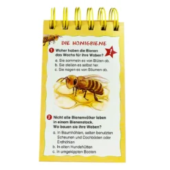 Rate dich schlau! Quiz – Die Biene und unsere Natur