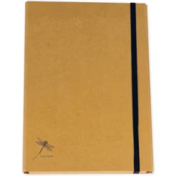 Sammelbox 