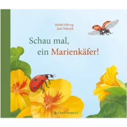Schau mal, ein Marienkäfer!