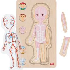 Schichtenpuzzle Anatomie Junge