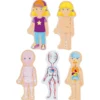 Schichtenpuzzle Anatomie Mädchen