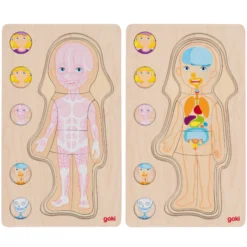 Schichtenpuzzle Anatomie Mädchen