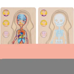 Schichtenpuzzle Anatomie Mädchen