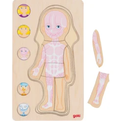 Schichtenpuzzle Anatomie Mädchen