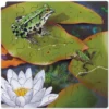 Schichten-Puzzle "Frosch" + gratis APP, 86-tlg.
