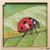 Schichten-Puzzle "Marienkäfer" + gratis APP, 86-tlg.