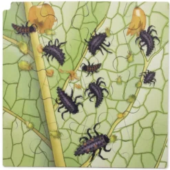 Schichten-Puzzle "Marienkäfer" + gratis APP, 86-tlg.