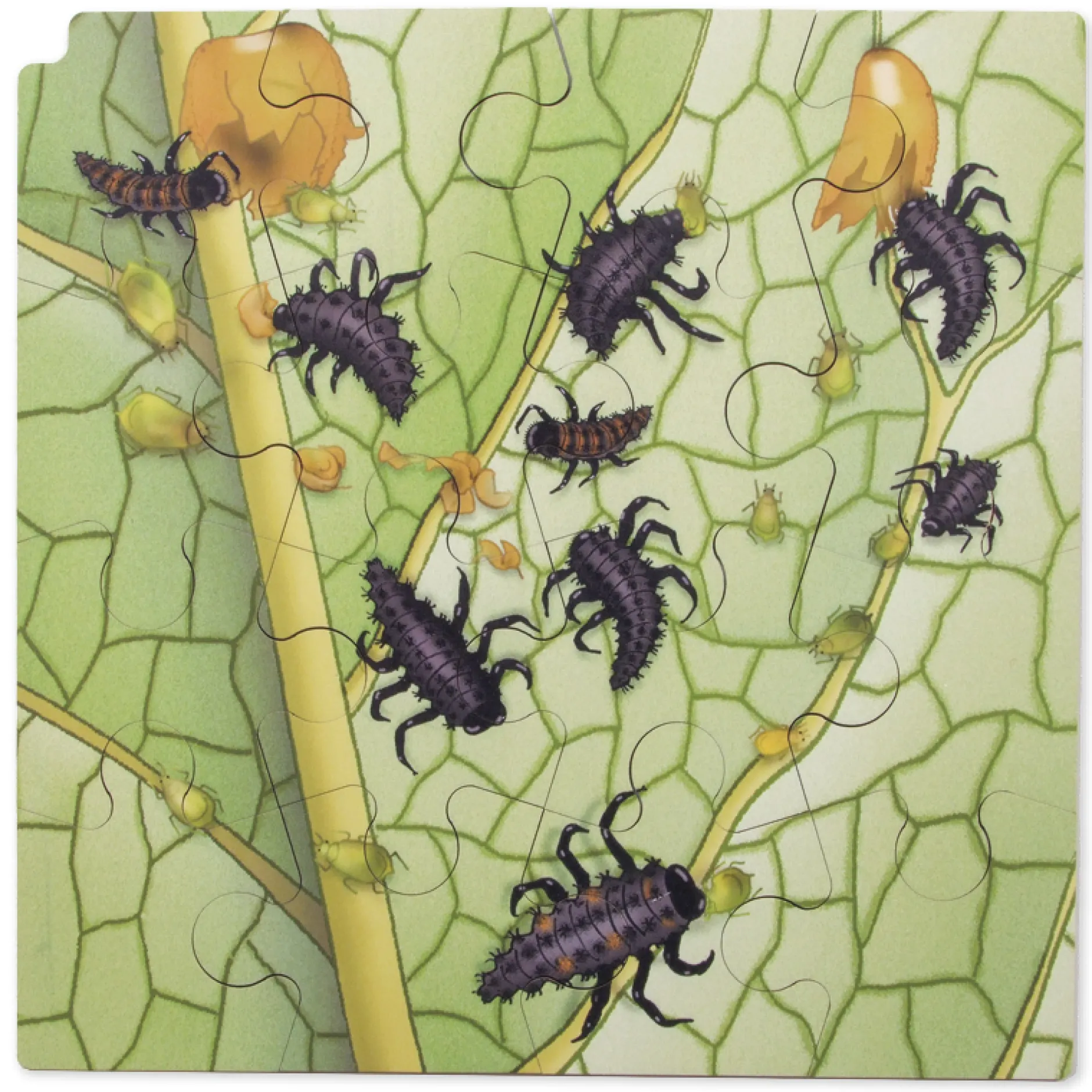 Schichten-Puzzle "Marienkäfer" + gratis APP, 86-tlg.