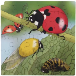 Schichten-Puzzle