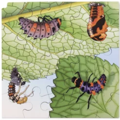 Schichten-Puzzle