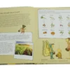Set "Die kleine Hummel Bommel", Sachbilderbuch und Saatgut-Box