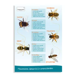 Sparset Bienenposter, 3-tlg.