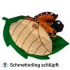 Stoffmodell Lebenszyklus Schmetterling (3-tlg.)