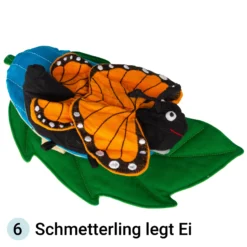 Stoffmodell Lebenszyklus Schmetterling (3-tlg.)