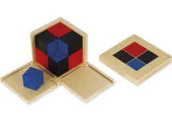 TimeTEX Binomischer Würfel 