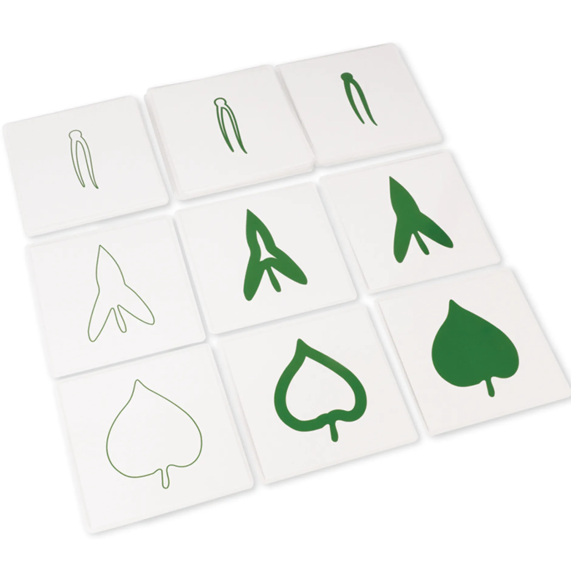 TimeTEX Botanischer Kartensatz "Montessori Premium"