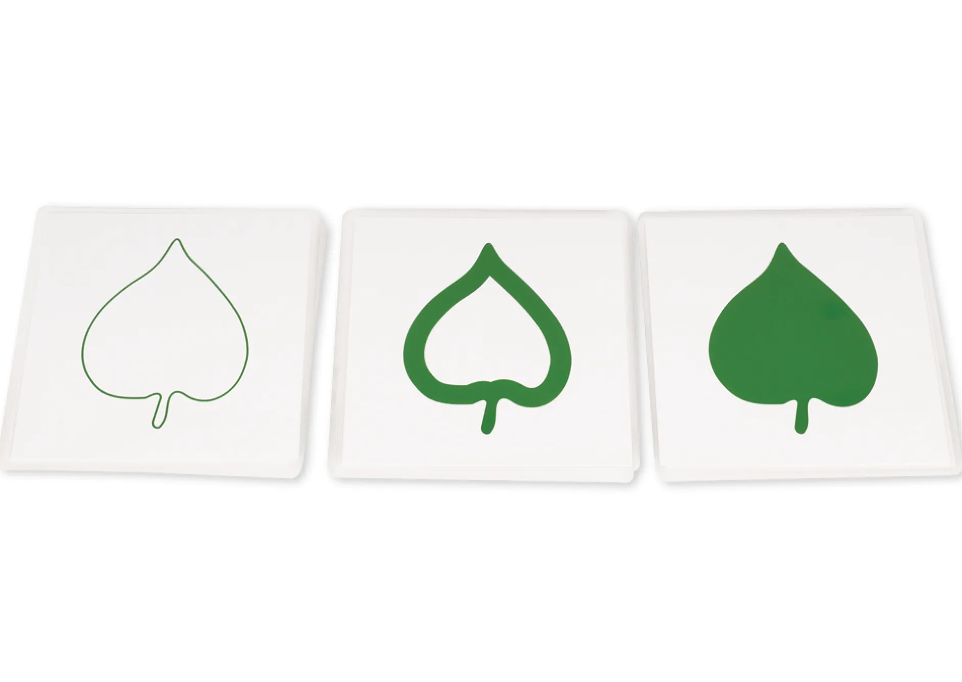 TimeTEX Botanischer Kartensatz "Montessori Premium"