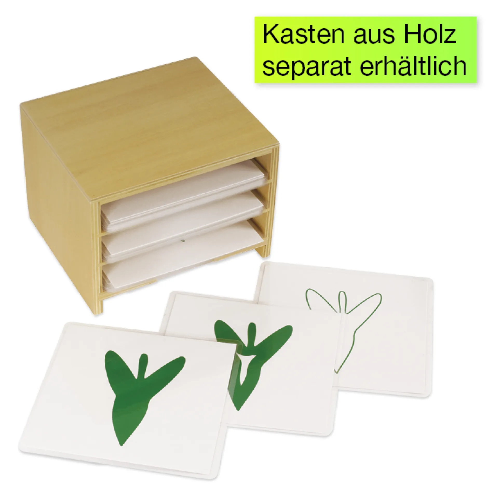 TimeTEX Botanischer Kartensatz "Montessori Premium"