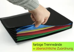 TimeTEX Fächer-Einsatz
