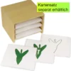 TimeTEX Kasten mit 3 Fächern für die botanischen Karten "Montessori Premium"